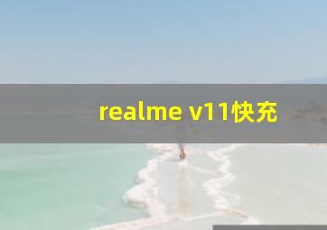 realme v11快充